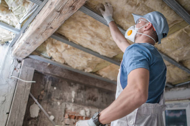 Best Commercial Insulation in Alva, FL