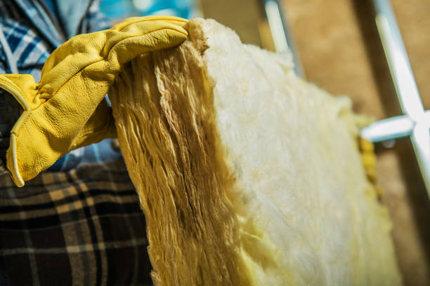 Best Insulation for Specific Applications in Alva, FL